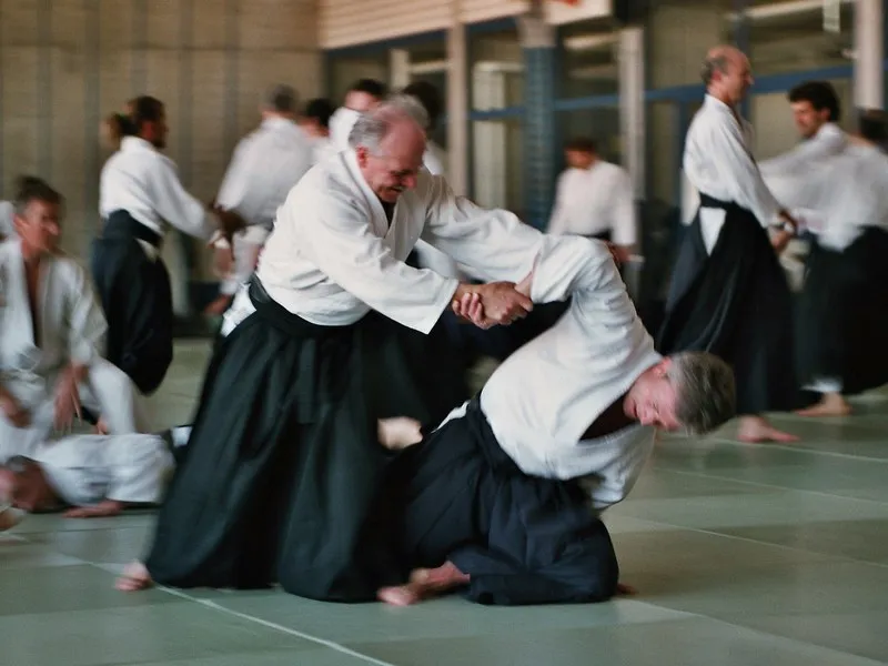 Ein Aikidoka in Hakama führt seinen Partner am Arm in einer schwungvollen Bewegung zu Boden, rundherum üben weitere Paare in einer Turnhalle.