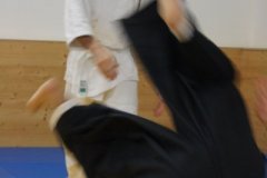 DSC01958
