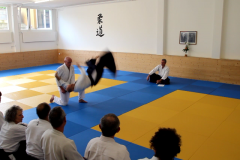 MVI_5809.MOV - 33