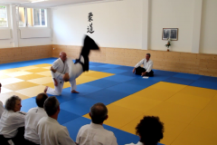 MVI_5809.MOV - 34