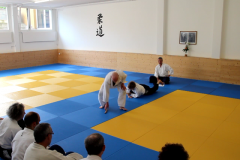 MVI_5810.MOV - 8