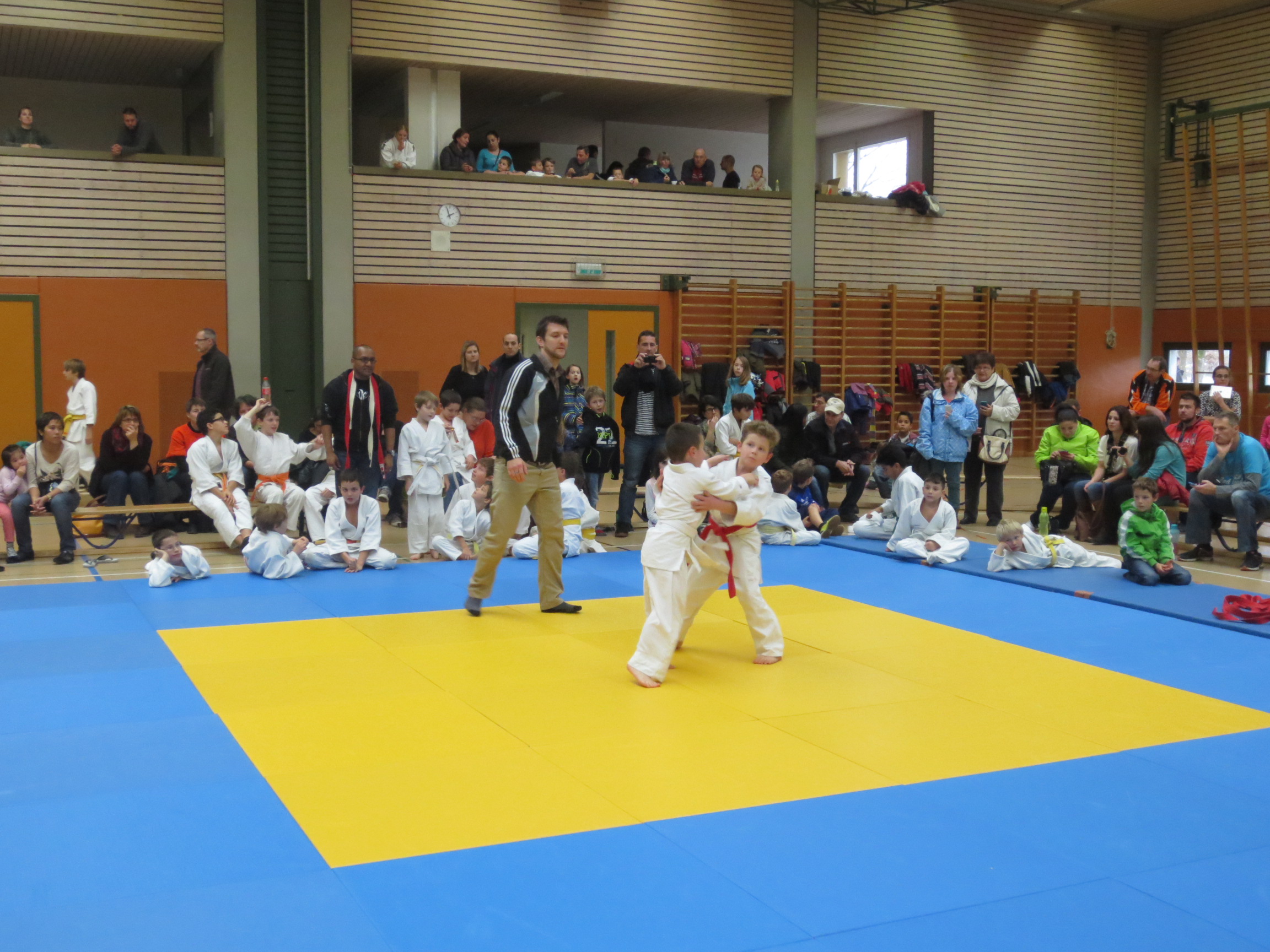 IMG_5230
