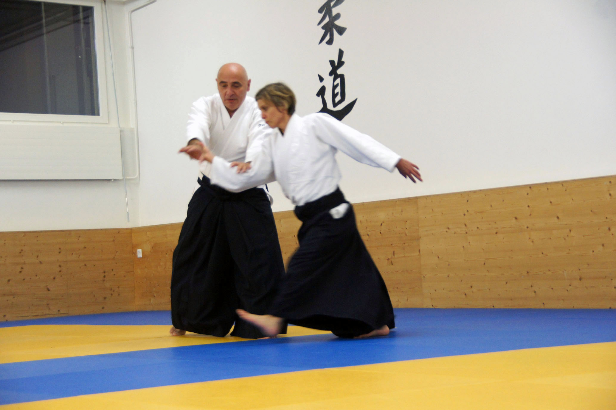 SONY DSC